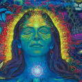 Ayahuasca’s Global Rise